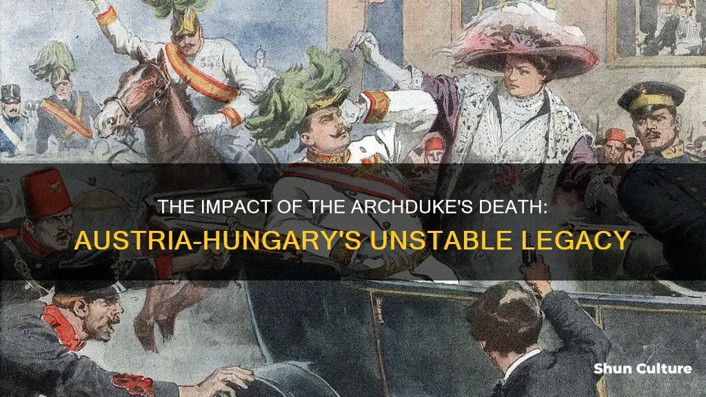 which of the following explains how an assassination in austria-hungary