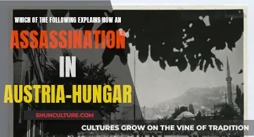 How an Assassination in Austria-Hungary Changed History