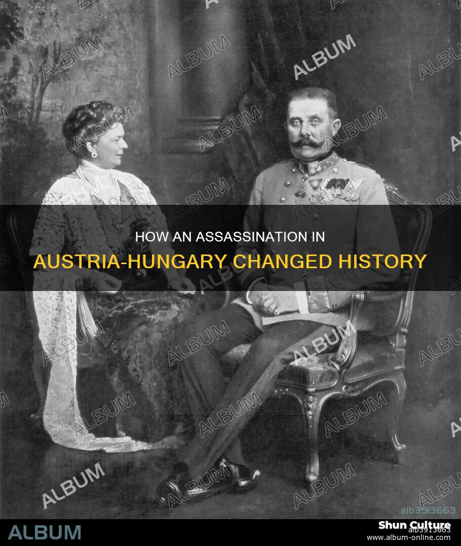 which of the following explains how an assassination in austria-hungary