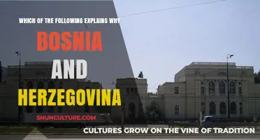 Bosnia and Herzegovina's Complex History: Unraveling the Reasons Behind Its Unique Identity