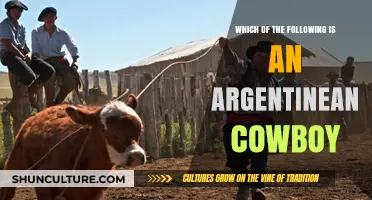 Exploring the Myths: What Defines an Argentine Cowboy?