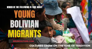 Bolivian Youth Migrants: Challenges and Resilience