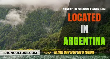 Exploring Argentina: Which Region Doesn't Belong?