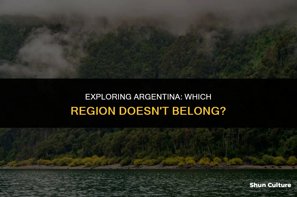 which of the following regions is not located in argentina