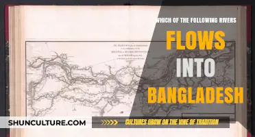 Rivers Flowing into Bangladesh: Unveiling the Country's Lifeline Waterways