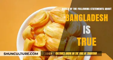 Unveiling Bangladesh: Separating Facts from Fiction About the Nation