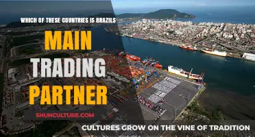 Brazil's Top Trading Partner: Unveiling the Country Leading the List