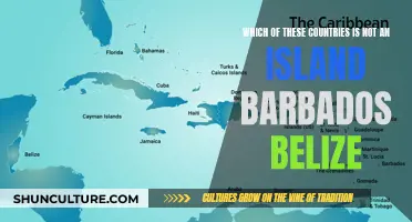 Belize: Island or Mainland?