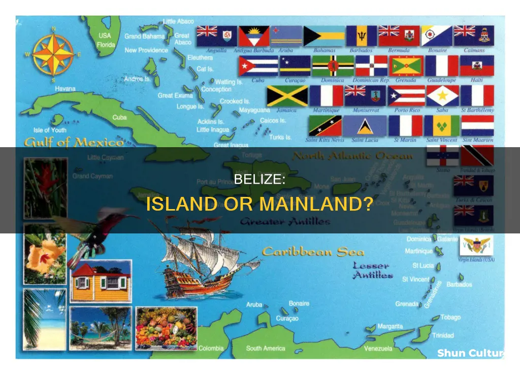 which of these countries is not an island barbados belize