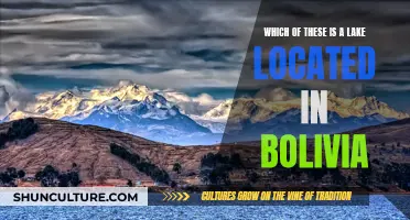 Exploring Bolivia's Iconic Lake: A Natural Wonder