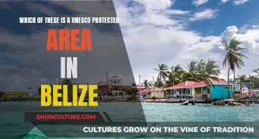 Belize's UNESCO Protected Paradise