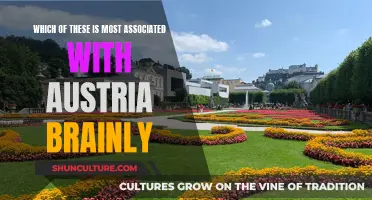 The Austrian Identity: What Makes Austria Unique?