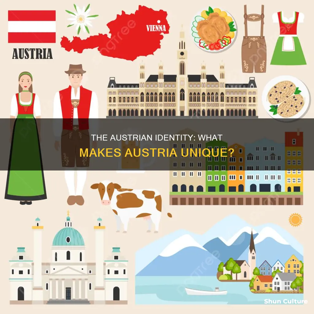 which of these is most associated with austria brainly