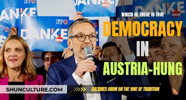 True Democracy in Austria-Hungary: Was It Achieved?
