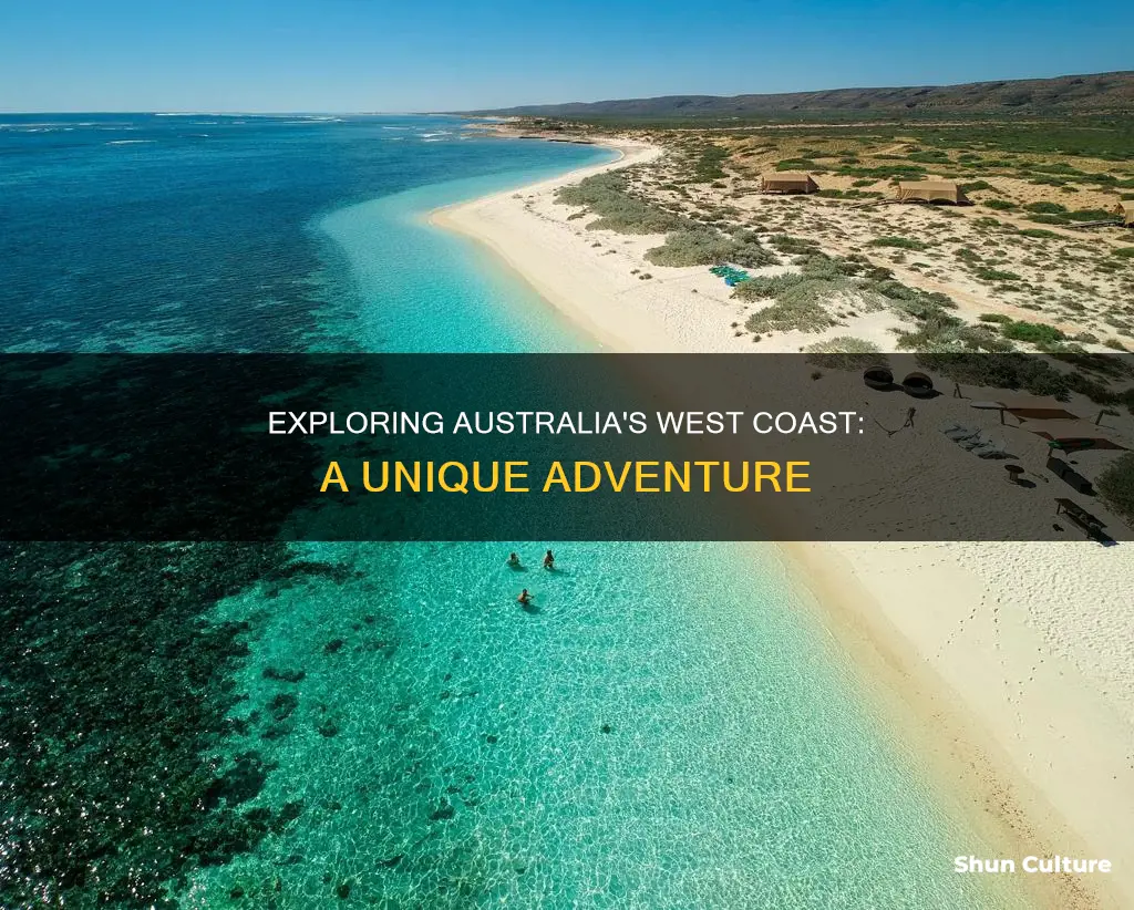 which of these would you find off australia