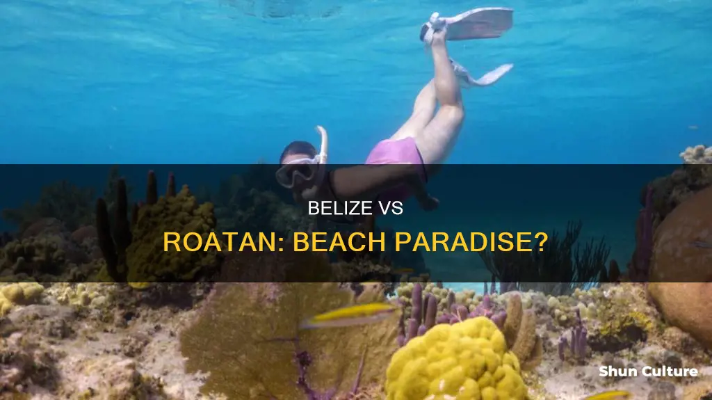 which one has better beaches belize or roatan