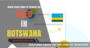 Exploring Botswana's Diverse Payment Methods Beyond Cash and Cards