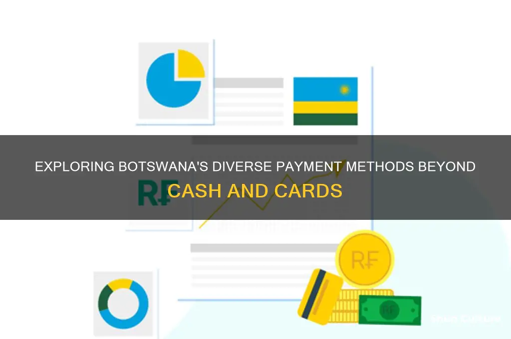 which other forms of payment are used in botswana