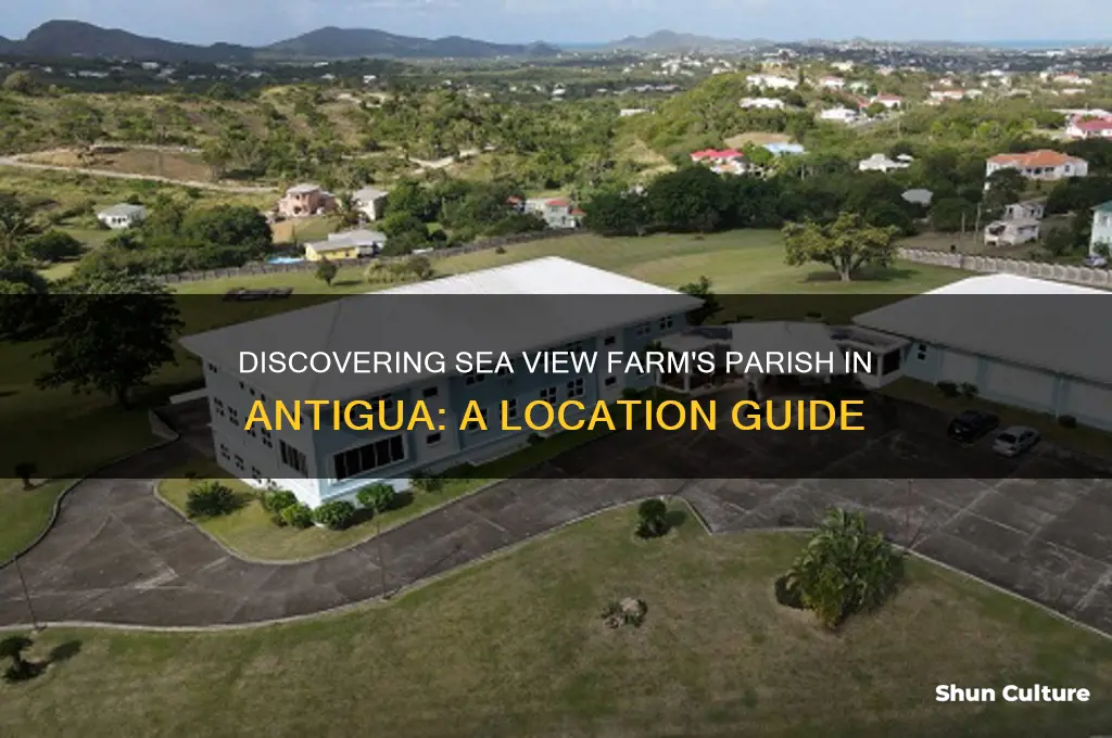 which parish is sea view farm located in antigua