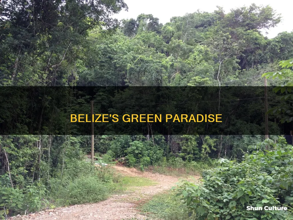 which part of belize is green