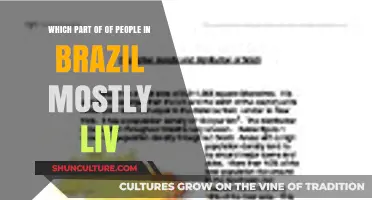 Where Do Most Brazilians Live? Exploring Brazil's Population Distribution