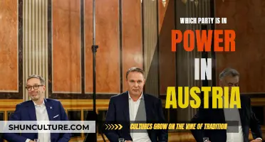 Austria's Governing Party: Who Holds the Reins?