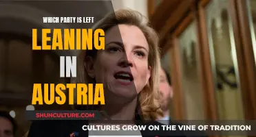 Left-Leaning Politics in Austria: Parties and Their Policies