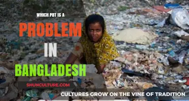 Persistent Organic Pollutants: A Growing PBT Problem in Bangladesh