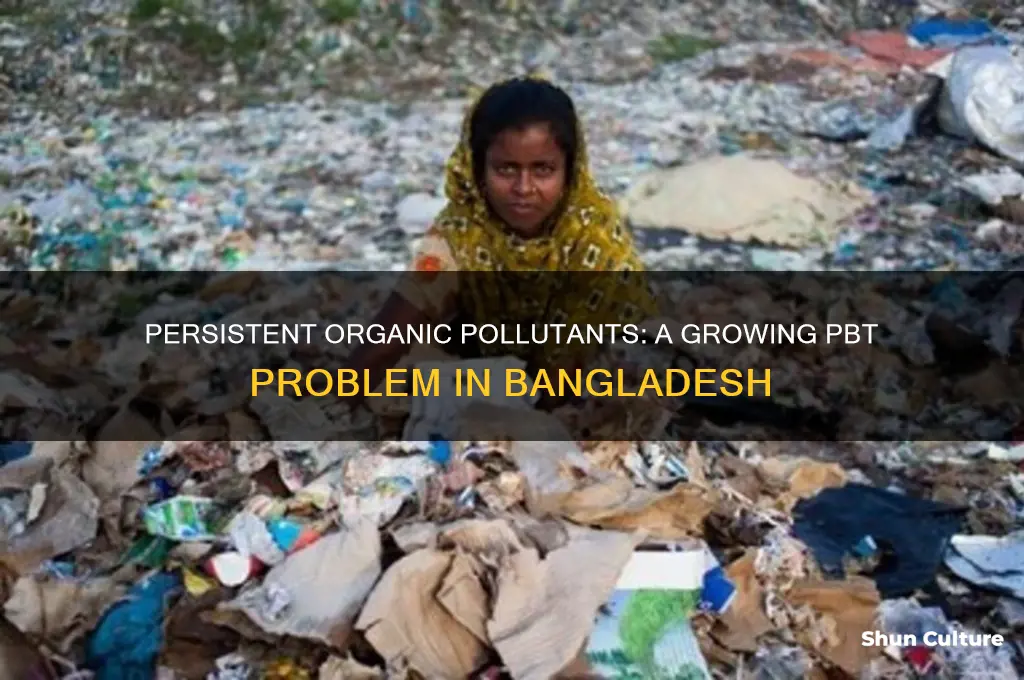 which pbt is a problem in bangladesh