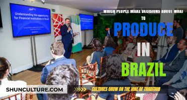 Who Decides Brazil's Production: Key Players and Decision-Makers