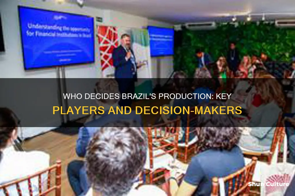which people make decisions about what to produce in brazil