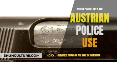 Austrian Police Pistols: Standard Issue and Training