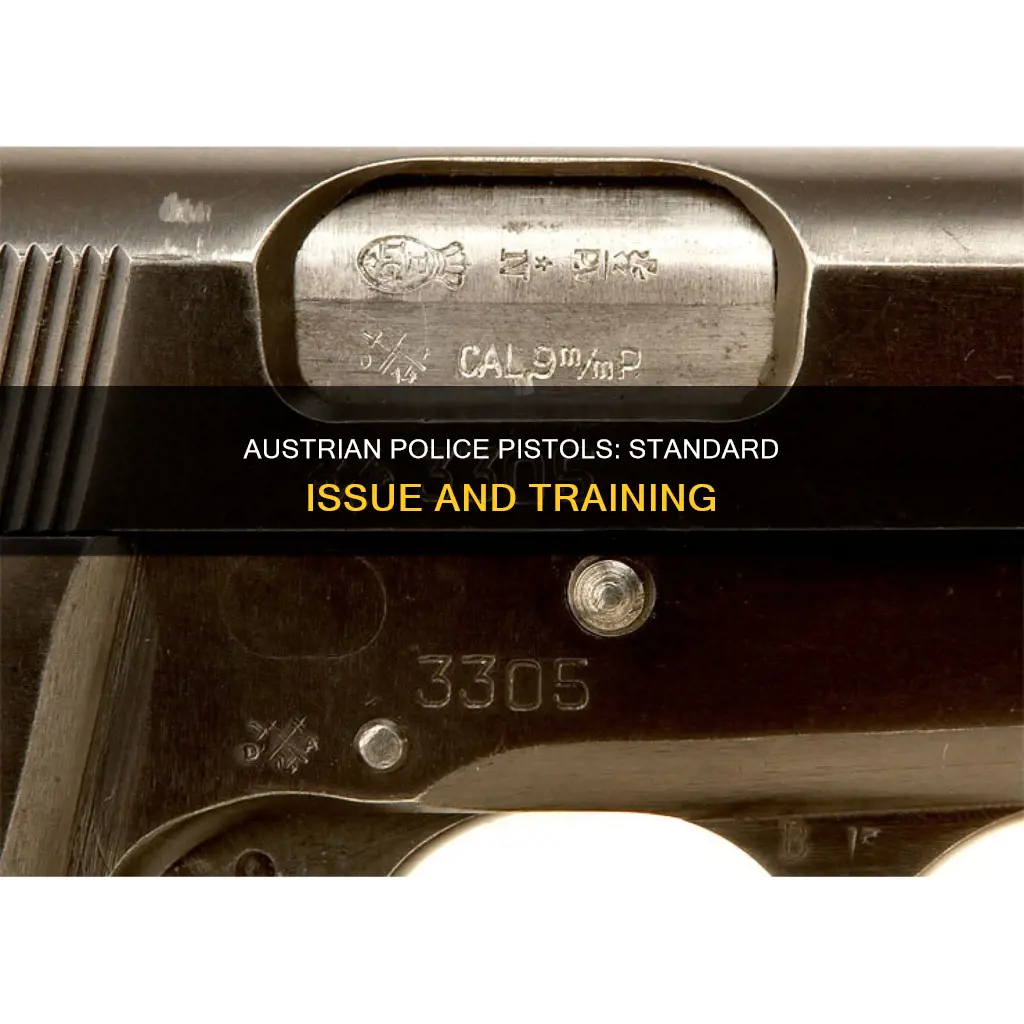 which pistol does the austrian police use