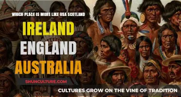 Exploring Cultural Similarities: Which Country Mirrors the USA Most?
