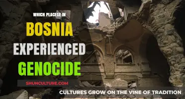 Genocide in Bosnia: Identifying the Devastated Regions and Their Tragic History