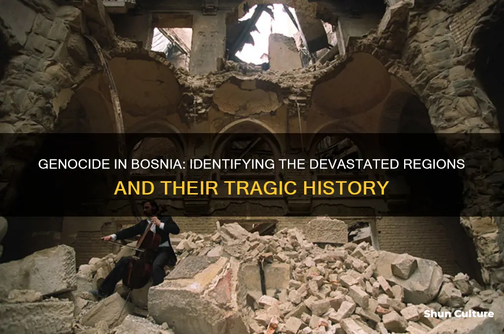 which placese in bosnia experienced genocide