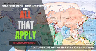 Plates Bordering the Indo-Australian Plate: A Comprehensive Overview