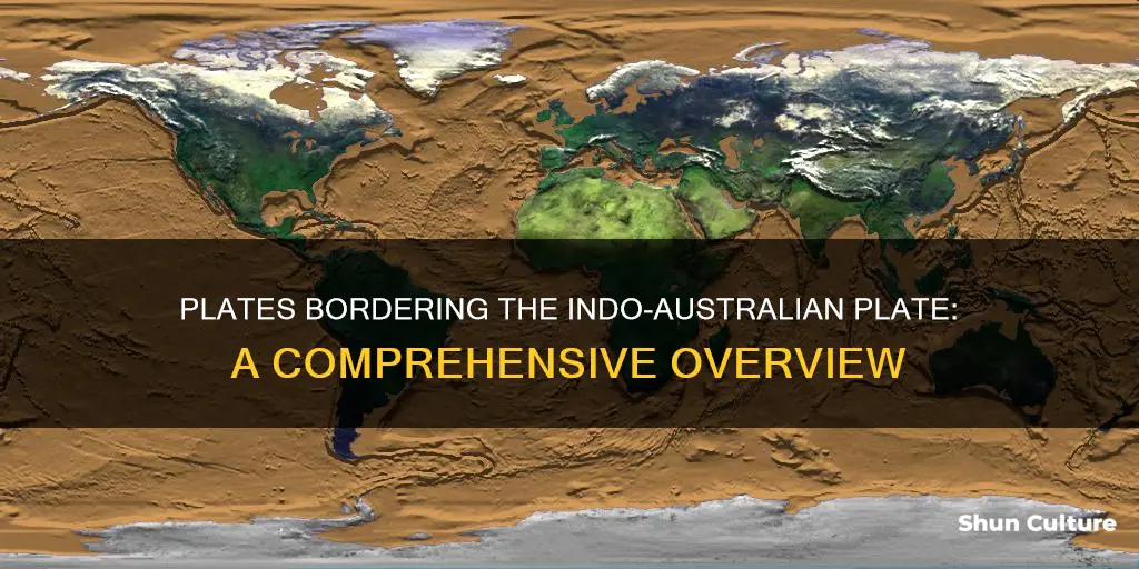 which plates border the indo-australian plate check all that apply