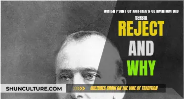 Serbia's Rejection of Austria's Ultimatum: What Caused It?