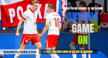 Poland vs. Austria: Which Polish Channel to Watch the Match?