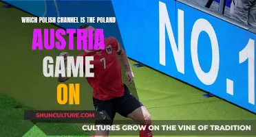 Where to Watch Poland vs Austria Live in Poland