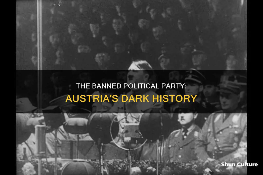 which political party was banned in austria after 1933