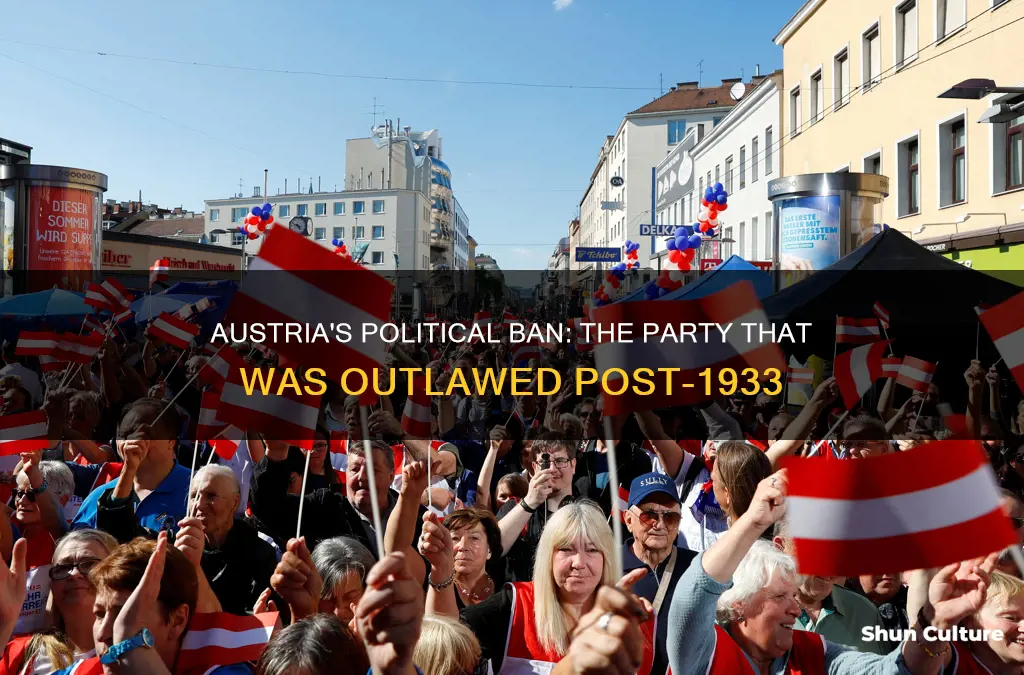 which political party was banned in austria after 1933