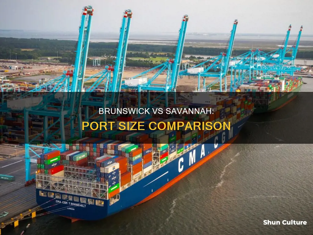 which port is bigger brunswick or savannah