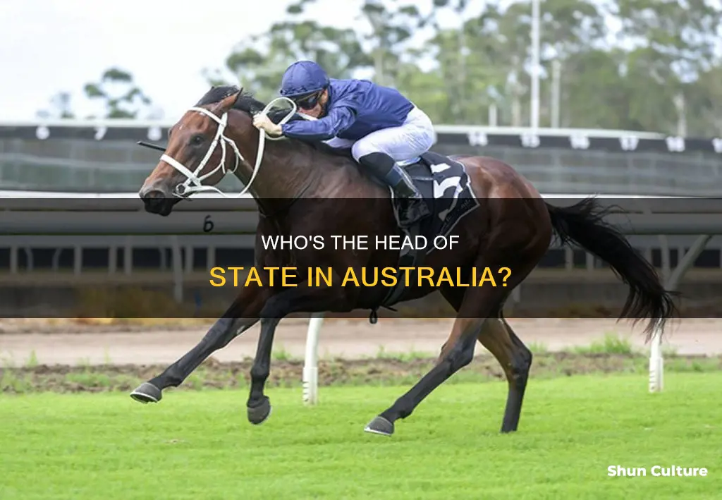 which position is the head of state of australia brainly