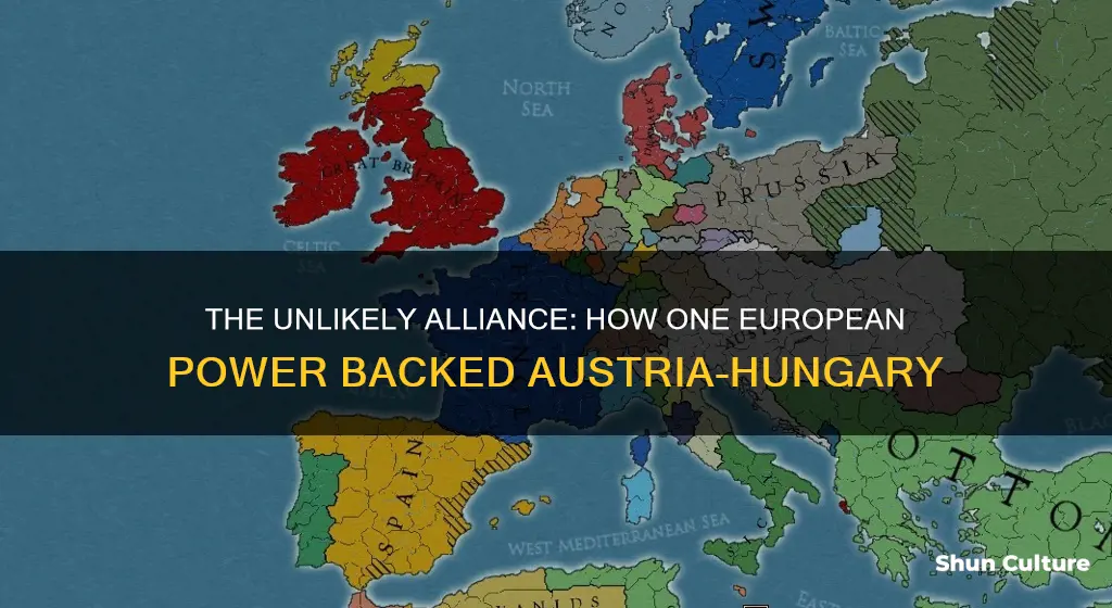 which powerful european country supported austria-hungary