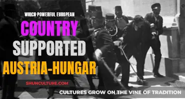 Who Backed Austria-Hungary? Understanding European Power Dynamics