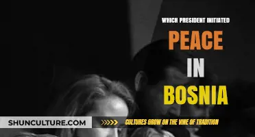 President Clinton's Role in Brokering Bosnia Peace Agreement