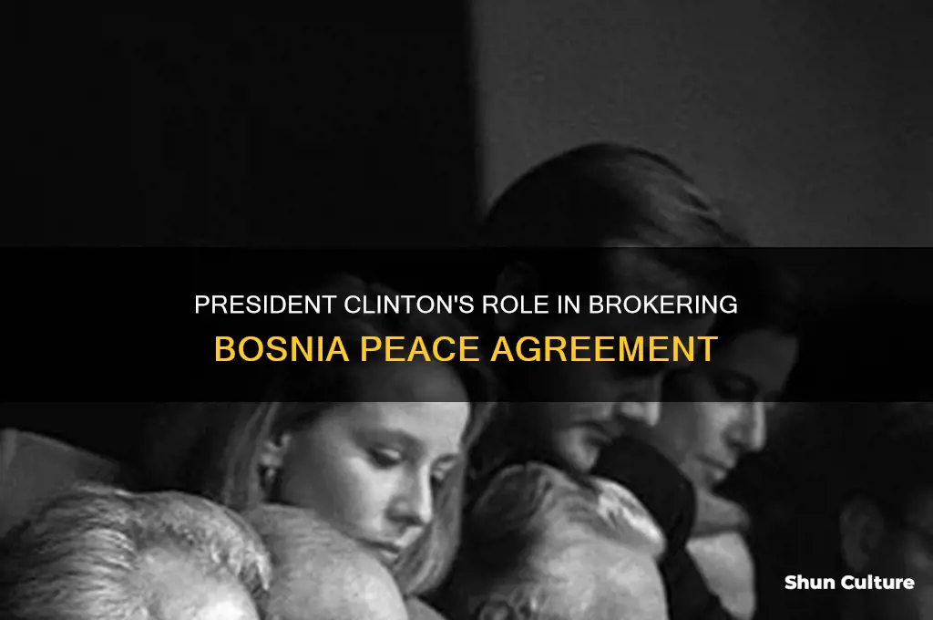 which president initiated peace in bosnia