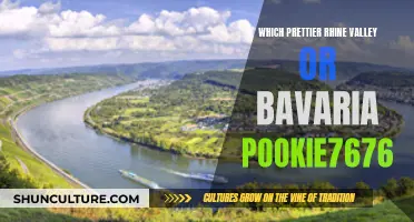 Exploring Rhine Valley and Bavaria: A Scenic Showdown